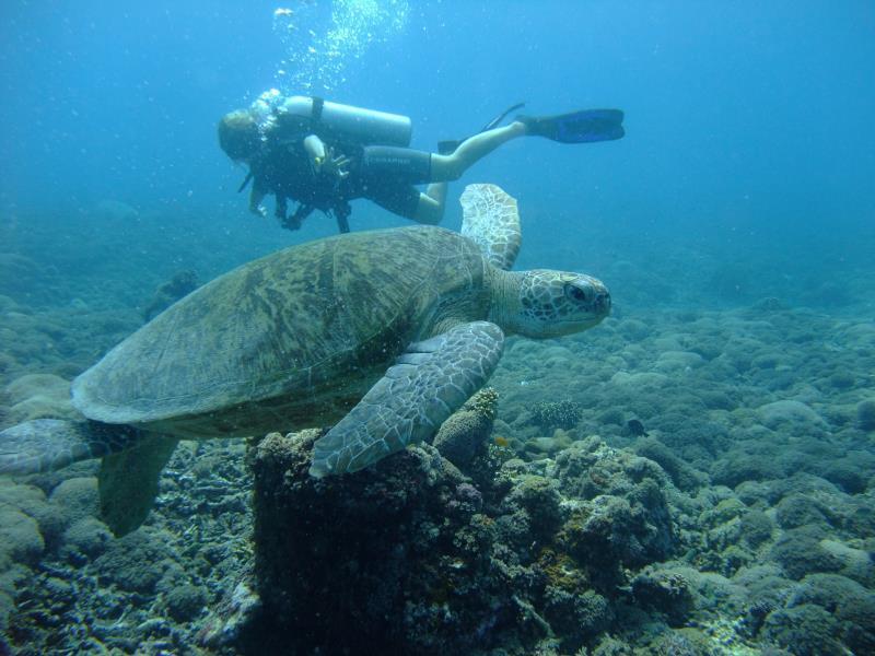 Ricel Homestay Gili Trawangan Buitenkant foto